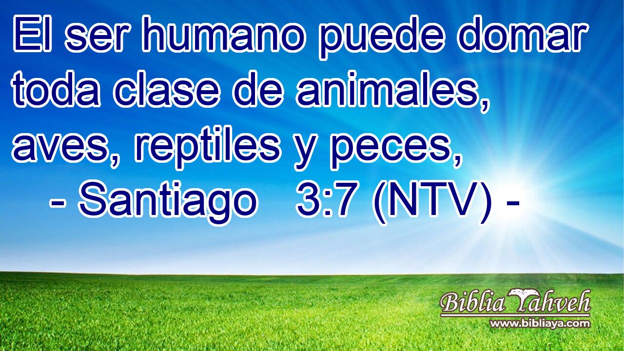 El ser humano puede domar toda clase de animales, aves, reptiles y peces,