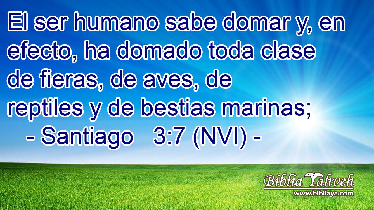  El ser humano sabe domar y, en efecto, ha domado toda clase de fieras, de aves, de reptiles y de bestias marinas; 