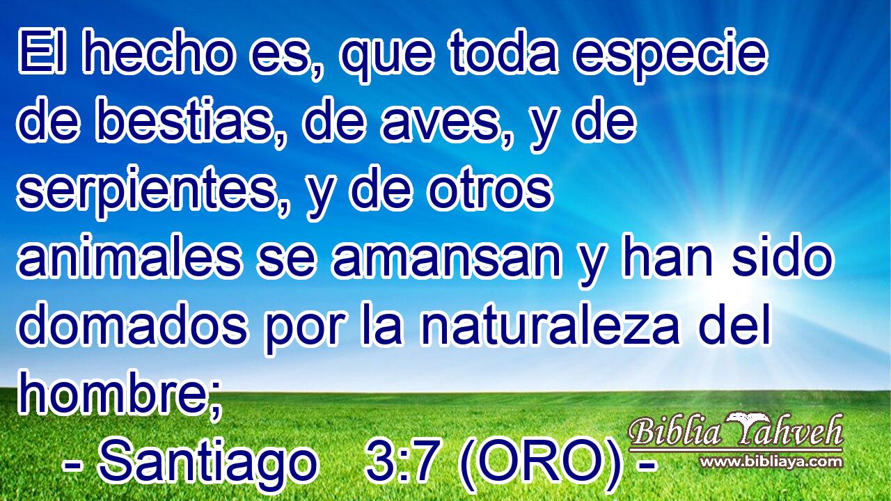  El hecho es, que toda especie de bestias, de aves, y de serpientes, y de otros animales se amansan y han sido domados por la naturaleza del hombre; 