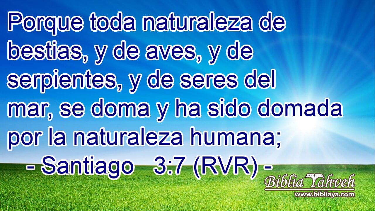 Porque toda naturaleza de bestias, y de aves, y de serpientes, y de seres del mar, se doma y ha sido domada por la naturaleza humana;