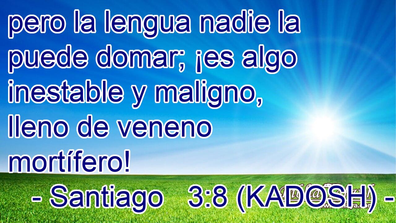  pero la lengua nadie la puede domar; ¡es algo inestable y maligno, lleno de veneno mortífero! 