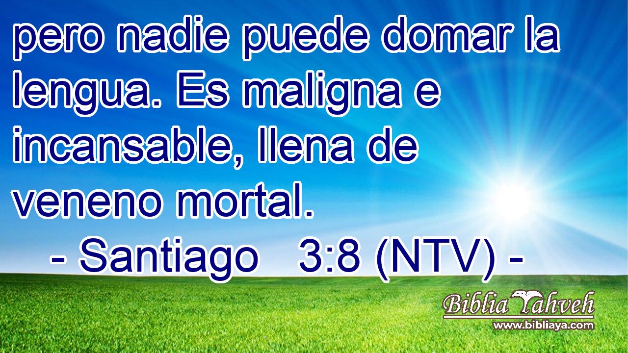 pero nadie puede domar la lengua. Es maligna e incansable, llena de veneno mortal.