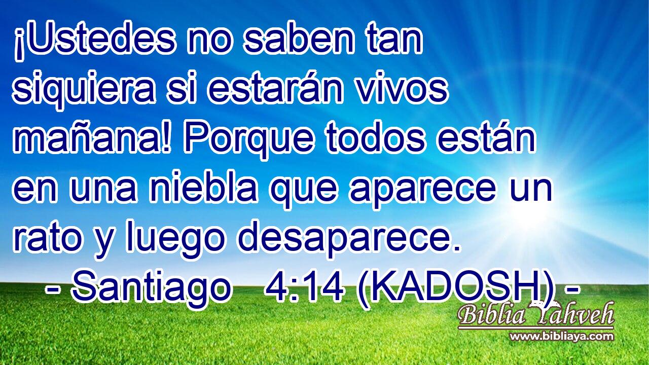  ¡Ustedes no saben tan siquiera si estarán vivos mañana! Porque todos están en una niebla que aparece un rato y luego desaparece. 