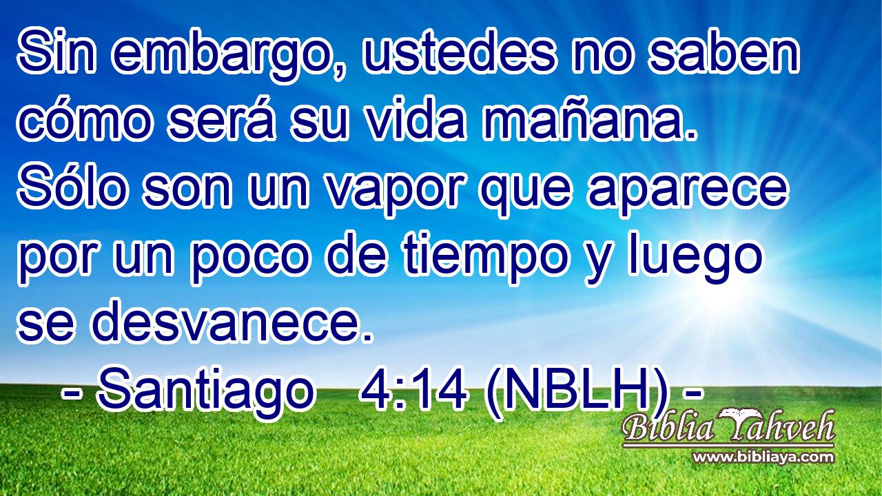  Sin embargo, ustedes no saben cómo será su vida mañana. Sólo son un vapor que aparece por un poco de tiempo y luego se desvanece. 
