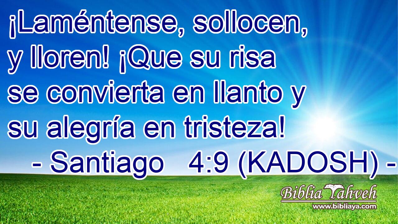  ¡Laméntense, sollocen, y lloren! ¡Que su risa se convierta en llanto y su alegría en tristeza! 