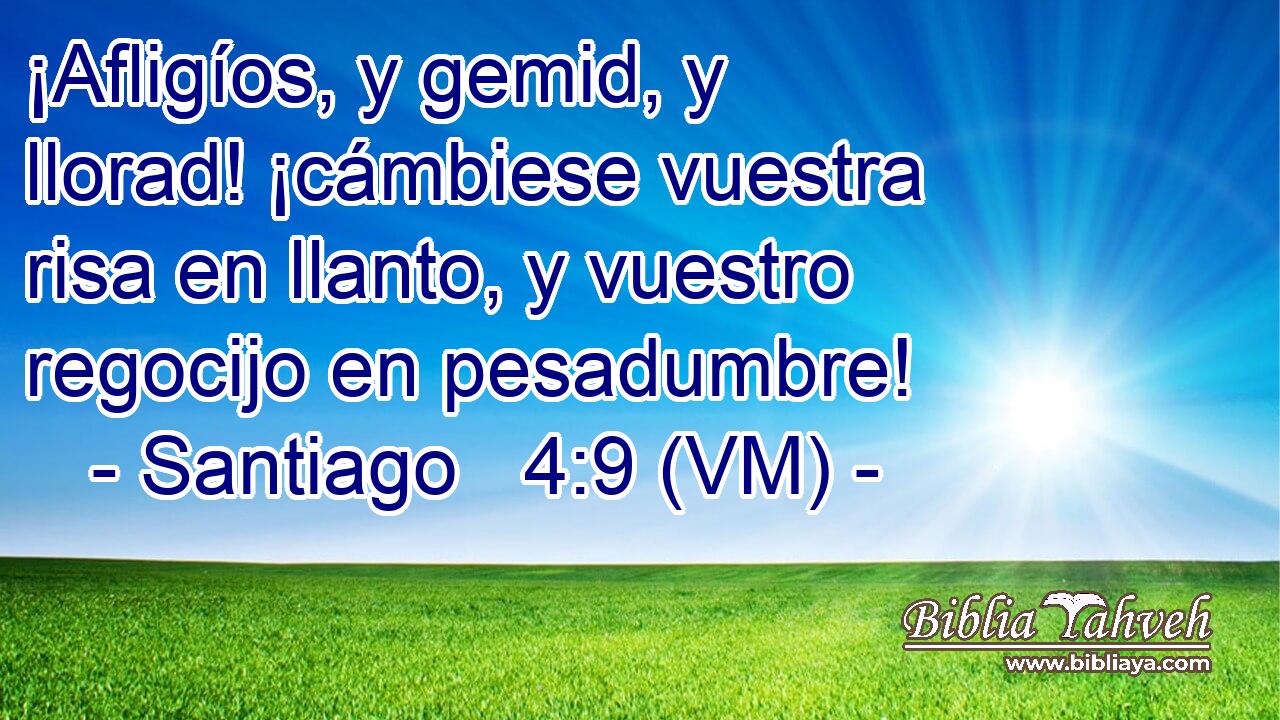  ¡Afligíos, y gemid, y llorad! ¡cámbiese vuestra risa en llanto, y vuestro regocijo en pesadumbre! 