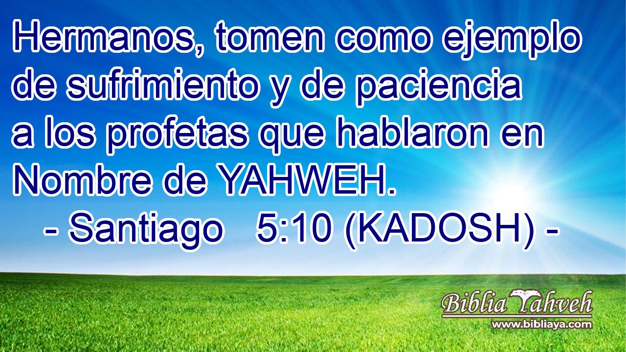  Hermanos, tomen como ejemplo de sufrimiento y de paciencia a los profetas que hablaron en Nombre de YAHWEH. 
