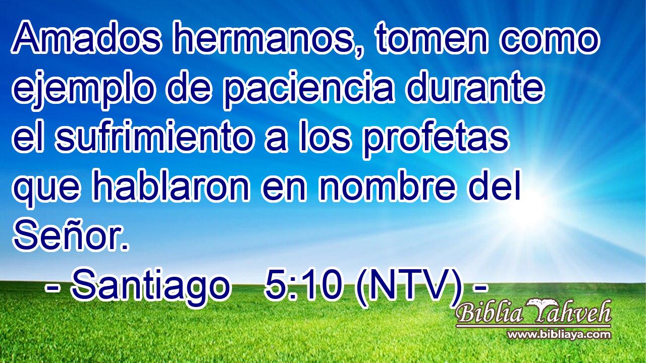 Amados hermanos, tomen como ejemplo de paciencia durante el sufrimiento a los profetas que hablaron en nombre del Señor.