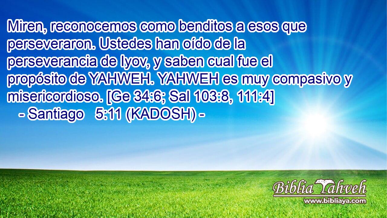  Miren, reconocemos como benditos a esos que perseveraron. Ustedes han oído de la perseverancia de Iyov, y saben cual fue el propósito de YAHWEH. YAHWEH es muy compasivo y misericordioso. [Ge 34:6; Sal 103:8, 111:4] 