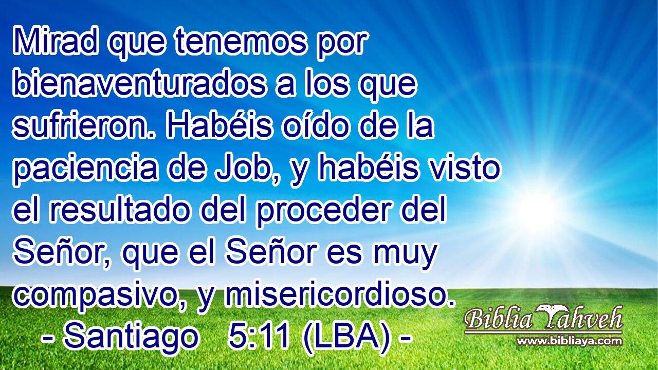Mirad que tenemos por bienaventurados a los que sufrieron. Habéis oído de la paciencia de Job, y habéis visto el resultado del proceder del Señor, que el Señor es muy compasivo, y misericordioso.