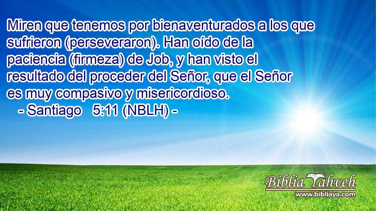  Miren que tenemos por bienaventurados a los que sufrieron (perseveraron). Han oído de la paciencia (firmeza) de Job, y han visto el resultado del proceder del Señor, que el Señor es muy compasivo y misericordioso. 
