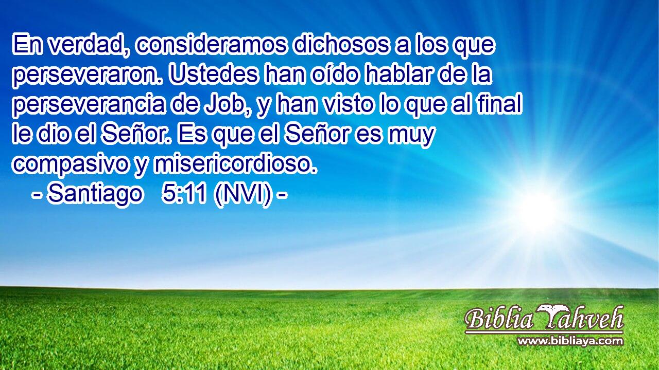  En verdad, consideramos dichosos a los que perseveraron. Ustedes han oído hablar de la perseverancia de Job, y han visto lo que al final le dio el Señor. Es que el Señor es muy compasivo y misericordioso. 