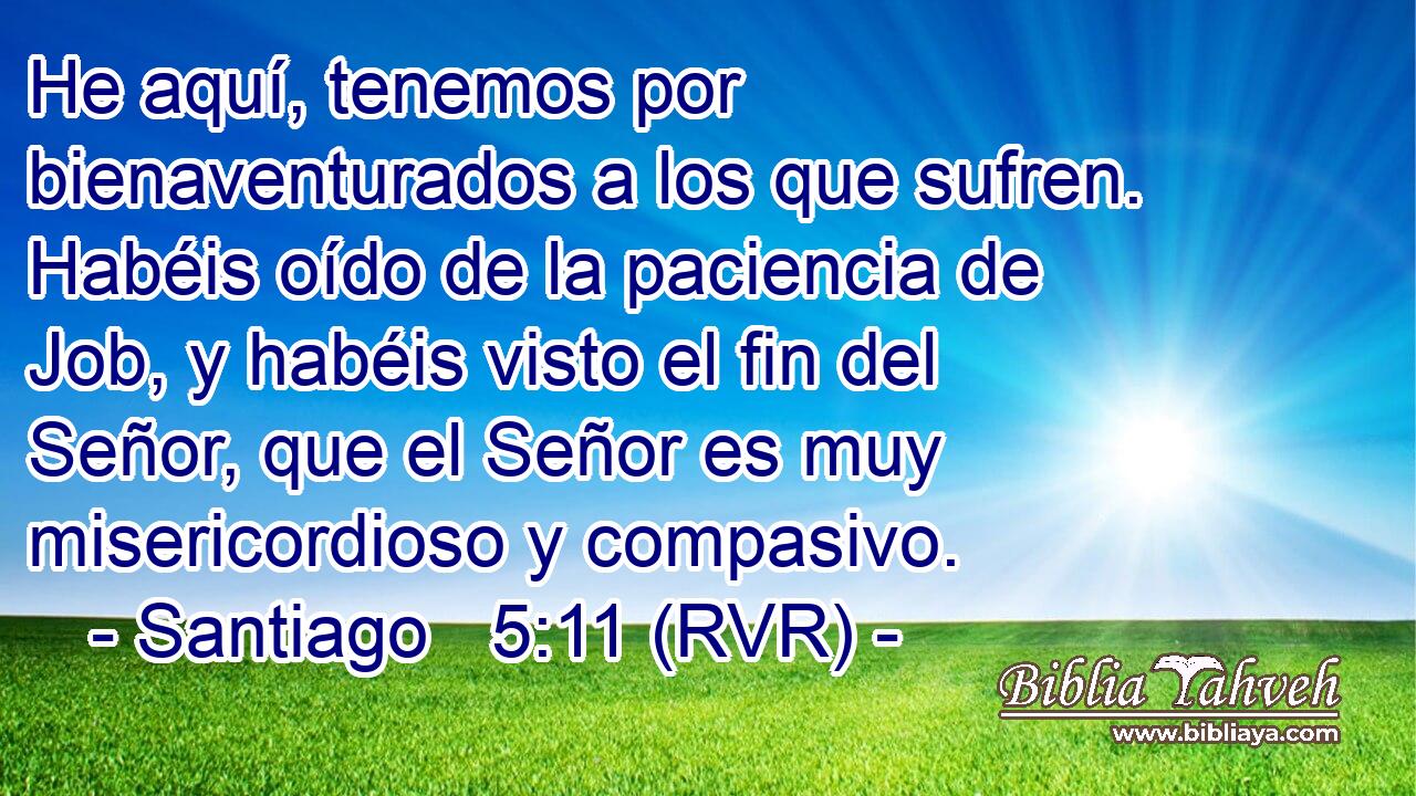He aquí, tenemos por bienaventurados a los que sufren. Habéis oído de la paciencia de Job, y habéis visto el fin del Señor, que el Señor es muy misericordioso y compasivo.