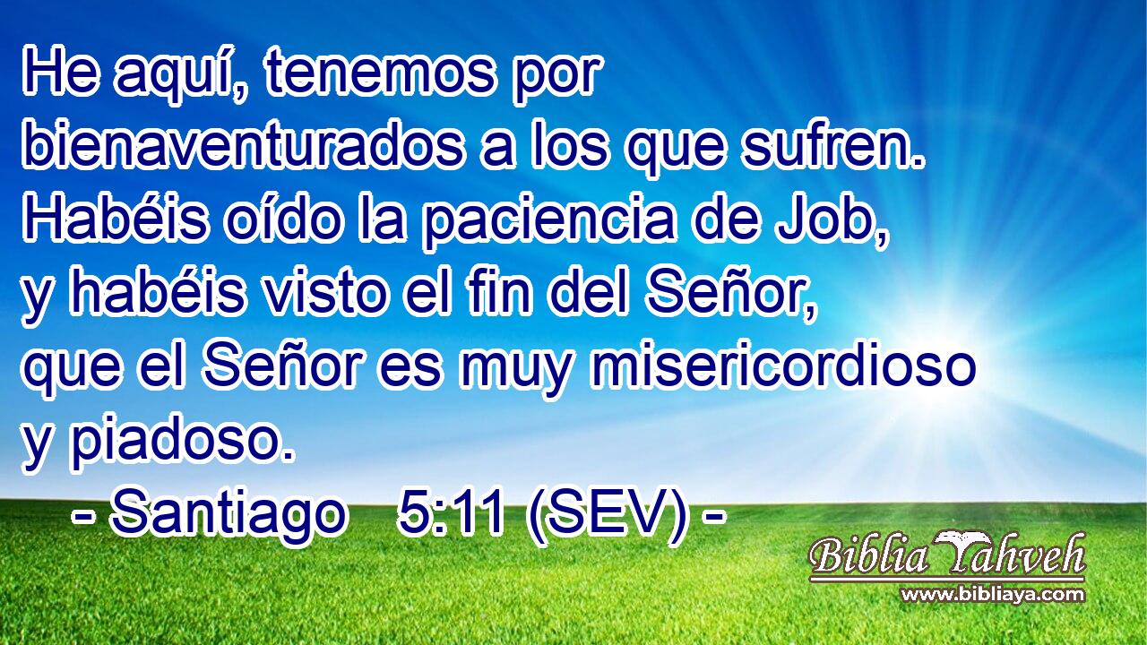 He aquí, tenemos por bienaventurados a los que sufren. Habéis oído la paciencia de Job, y habéis visto el fin del Señor, que el Señor es muy misericordioso y piadoso.