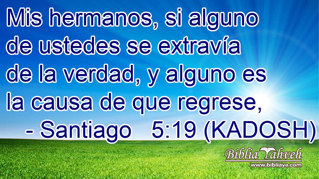  Mis hermanos, si alguno de ustedes se extravía de la verdad, y alguno es la causa de que regrese, 