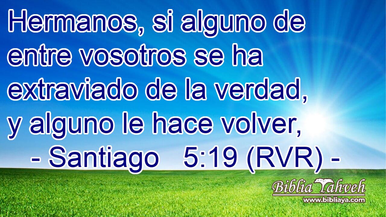 Hermanos, si alguno de entre vosotros se ha extraviado de la verdad, y alguno le hace volver,