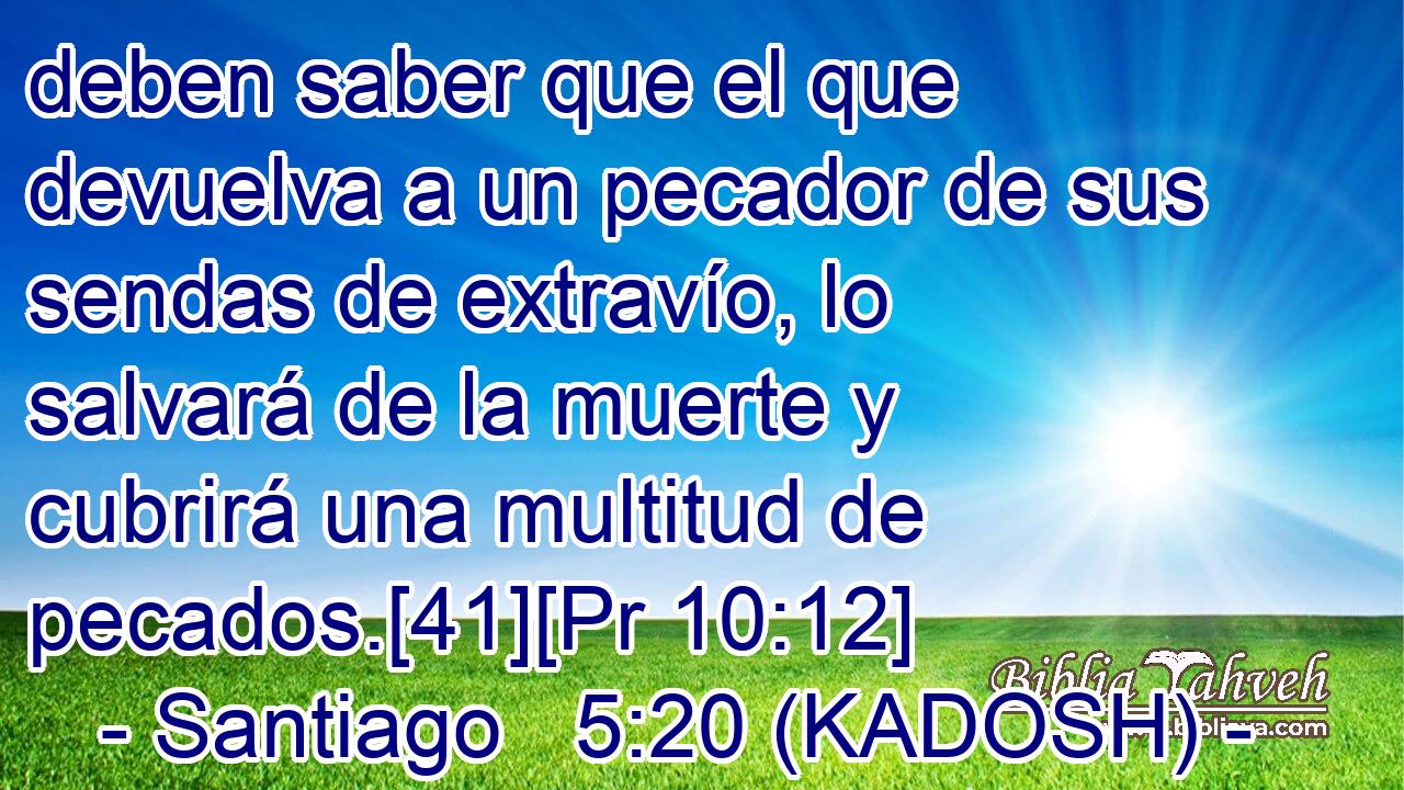  deben saber que el que devuelva a un pecador de sus sendas de extravío, lo salvará de la muerte y cubrirá una multitud de pecados.[41][Pr 10:12] 
