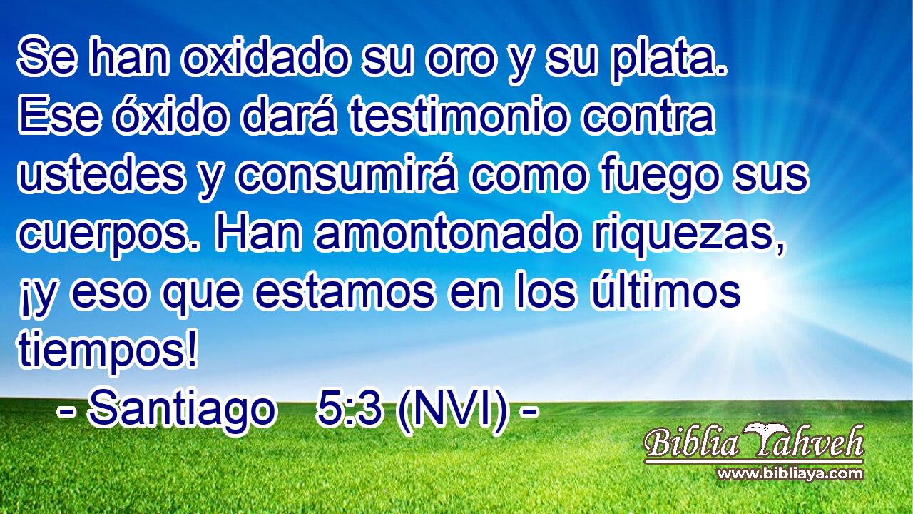  Se han oxidado su oro y su plata. Ese óxido dará testimonio contra ustedes y consumirá como fuego sus cuerpos. Han amontonado riquezas, ¡y eso que estamos en los últimos tiempos! 