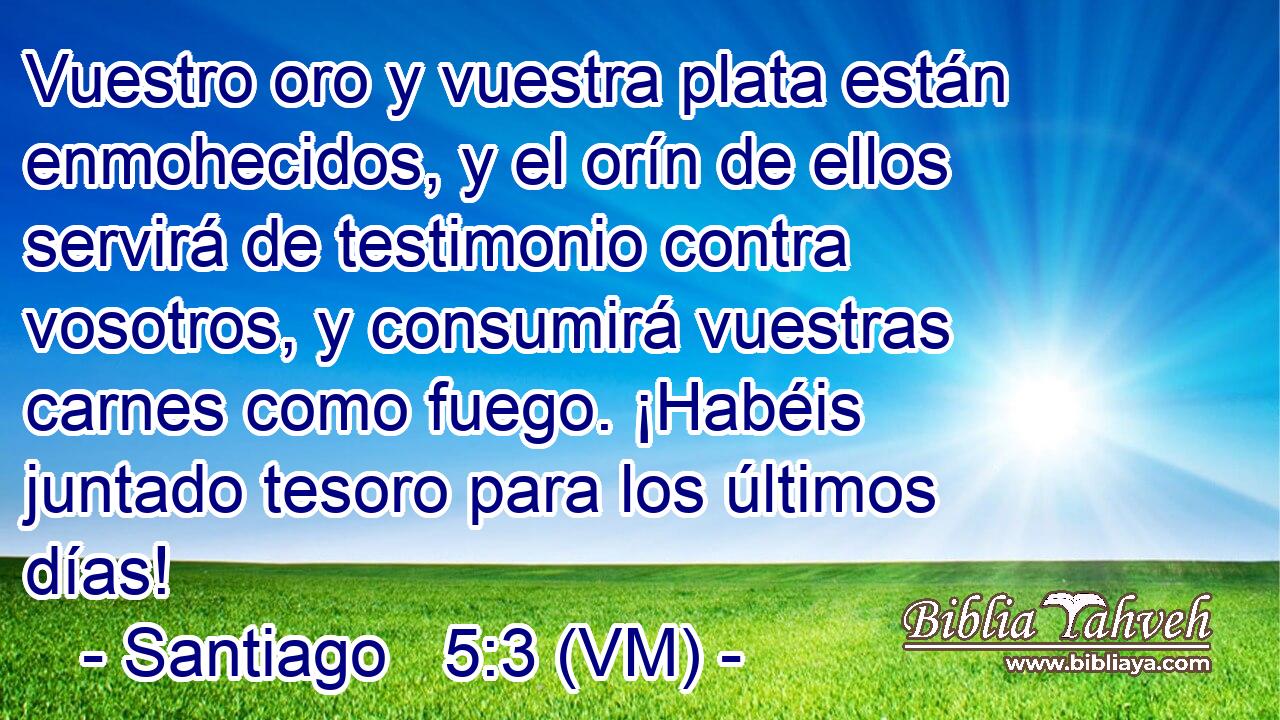  Vuestro oro y vuestra plata están enmohecidos, y el orín de ellos servirá de testimonio contra vosotros, y consumirá vuestras carnes como fuego. ¡Habéis juntado tesoro para los últimos días! 