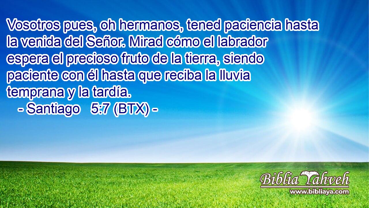 Vosotros pues, oh hermanos, tened paciencia hasta la venida del Señor. Mirad cómo el labrador espera el precioso fruto de la tierra, siendo paciente con él hasta que reciba la lluvia temprana y la tardía.