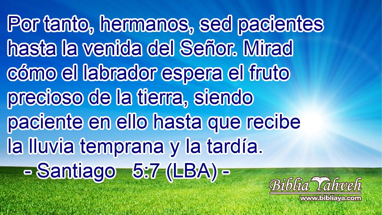 Por tanto, hermanos, sed pacientes hasta la venida del Señor. Mirad cómo el labrador espera el fruto precioso de la tierra, siendo paciente en ello hasta que recibe la lluvia temprana y la tardía.