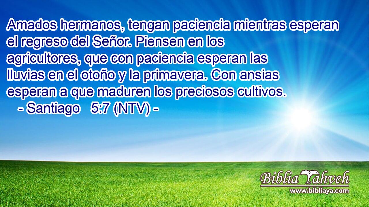 Amados hermanos, tengan paciencia mientras esperan el regreso del Señor. Piensen en los agricultores, que con paciencia esperan las lluvias en el otoño y la primavera. Con ansias esperan a que maduren los preciosos cultivos.