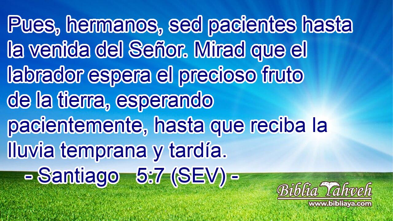 Pues, hermanos, sed pacientes hasta la venida del Señor. Mirad que el labrador espera el precioso fruto de la tierra, esperando pacientemente, hasta que reciba la lluvia temprana y tardía.