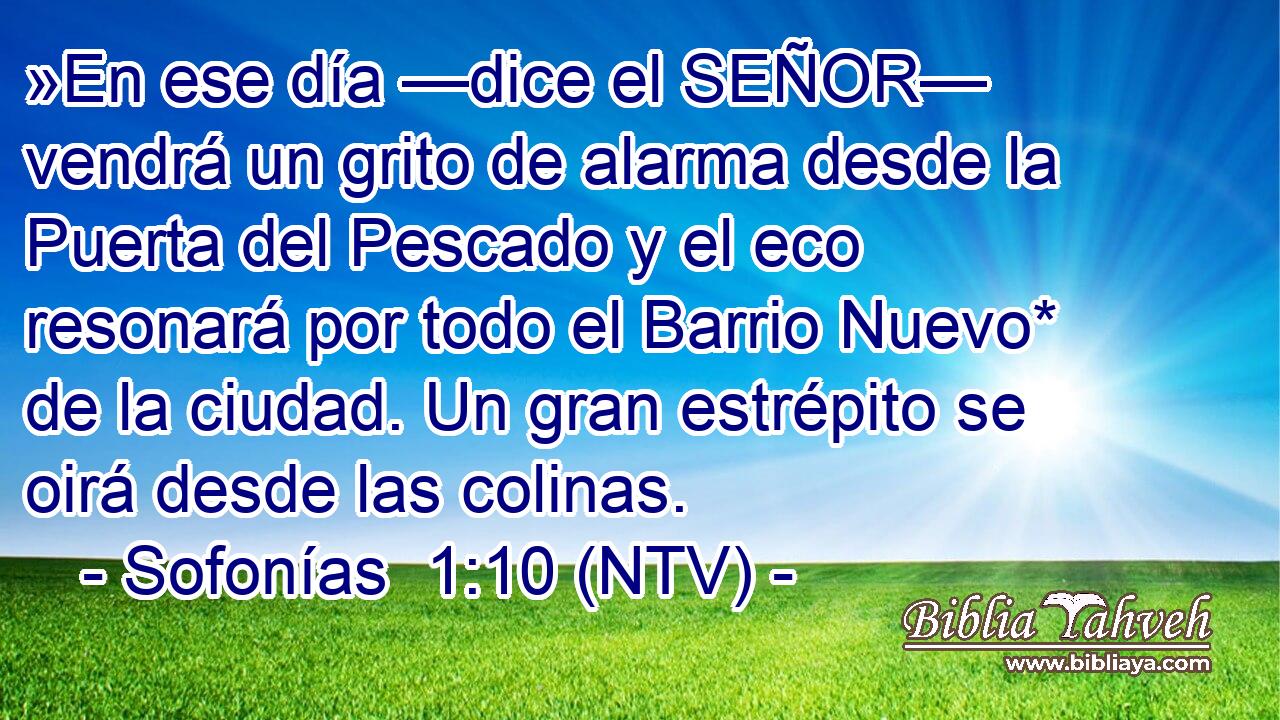 »En ese día —dice el SEÑOR— vendrá un grito de alarma desde la Puerta del Pescado y el eco resonará por todo el Barrio Nuevo* de la ciudad. Un gran estrépito se oirá desde las colinas.