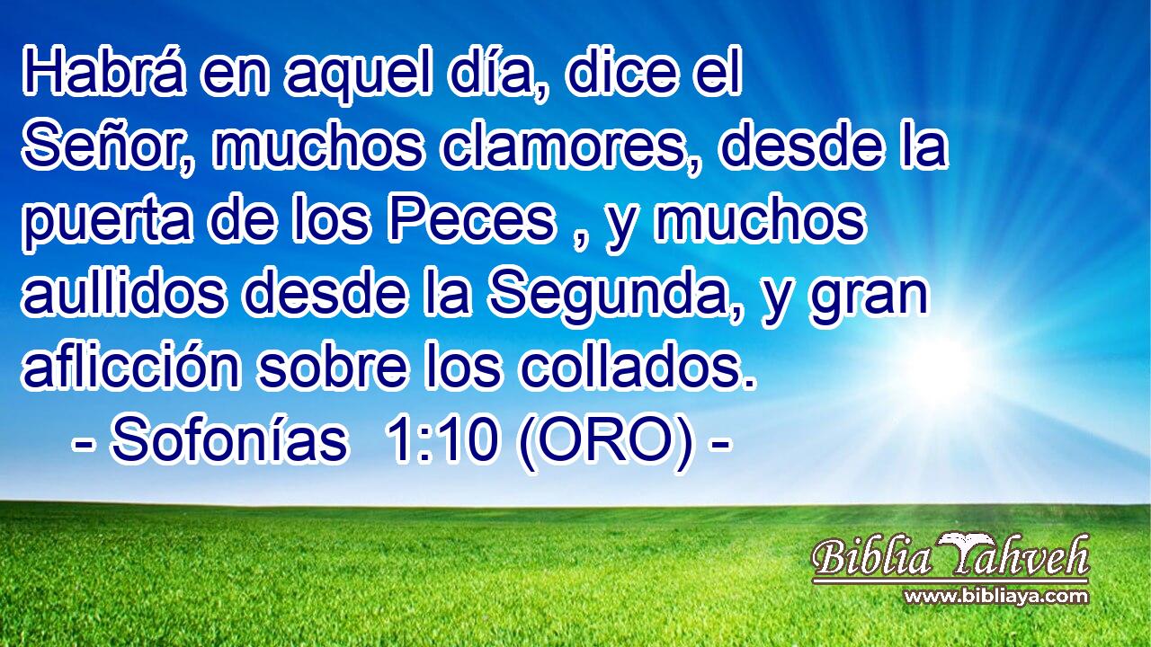  Habrá en aquel día, dice el Señor, muchos clamores, desde la puerta de los Peces , y muchos aullidos desde la Segunda, y gran aflicción sobre los collados. 