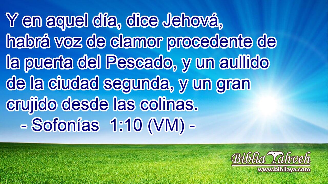  Y en aquel día, dice Jehová, habrá voz de clamor procedente de la puerta del Pescado, y un aullido de la ciudad segunda, y un gran crujido desde las colinas. 