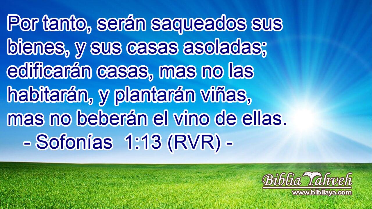 Por tanto, serán saqueados sus bienes, y sus casas asoladas; edificarán casas, mas no las habitarán, y plantarán viñas, mas no beberán el vino de ellas.