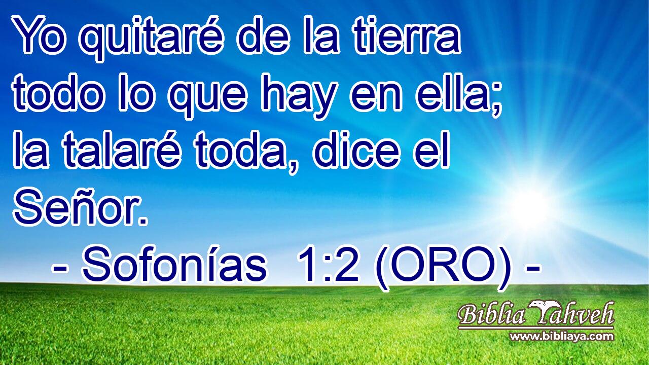  Yo quitaré de la tierra todo lo que hay en ella; la talaré toda, dice el Señor. 