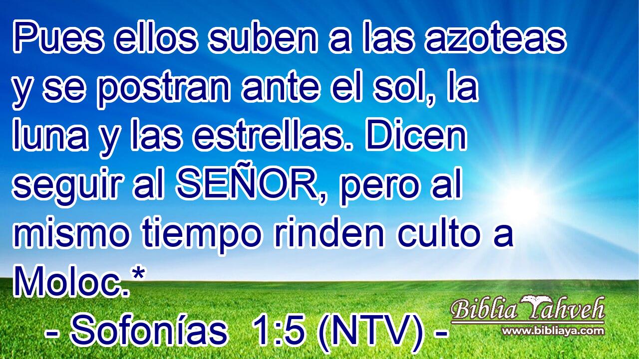 Pues ellos suben a las azoteas y se postran ante el sol, la luna y las estrellas. Dicen seguir al SEÑOR, pero al mismo tiempo rinden culto a Moloc.*