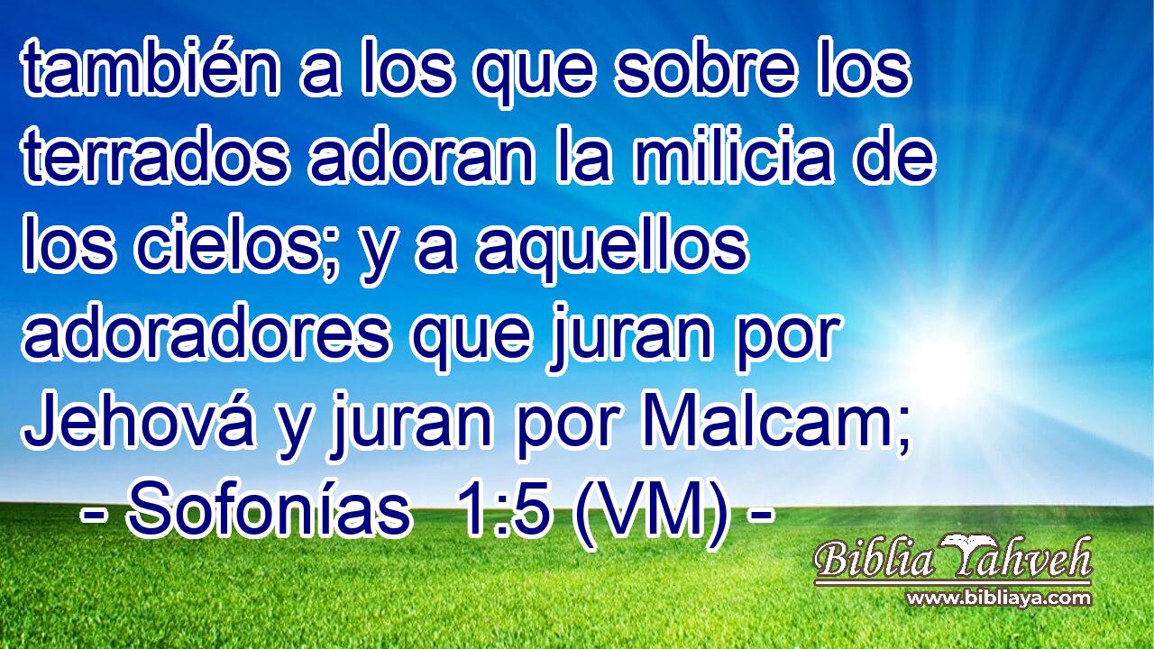  también a los que sobre los terrados adoran la milicia de los cielos; y a aquellos adoradores que juran por Jehová y juran por Malcam; 