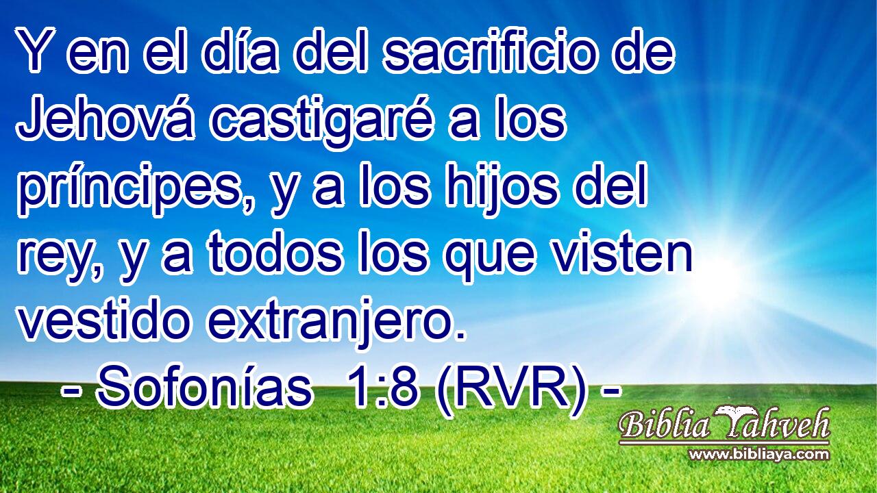 Y en el día del sacrificio de Jehová castigaré a los príncipes, y a los hijos del rey, y a todos los que visten vestido extranjero.