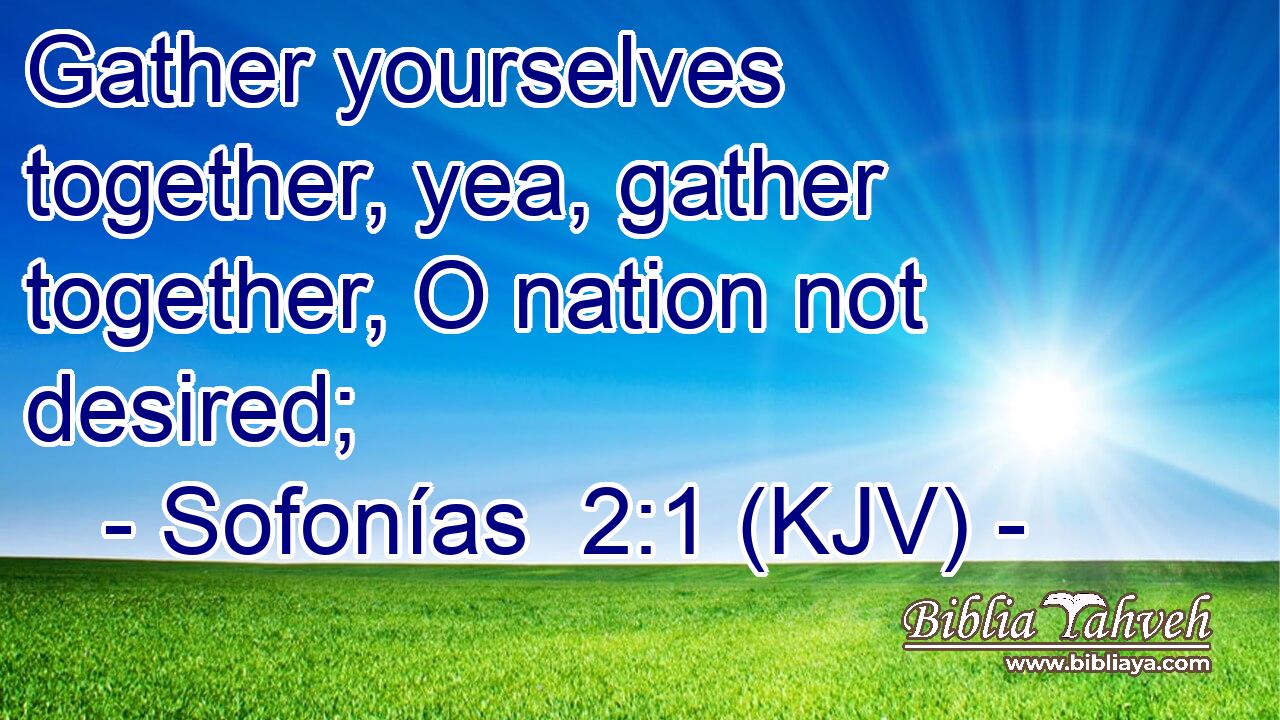 Gather yourselves together, yea, gather together, O nation not desired;