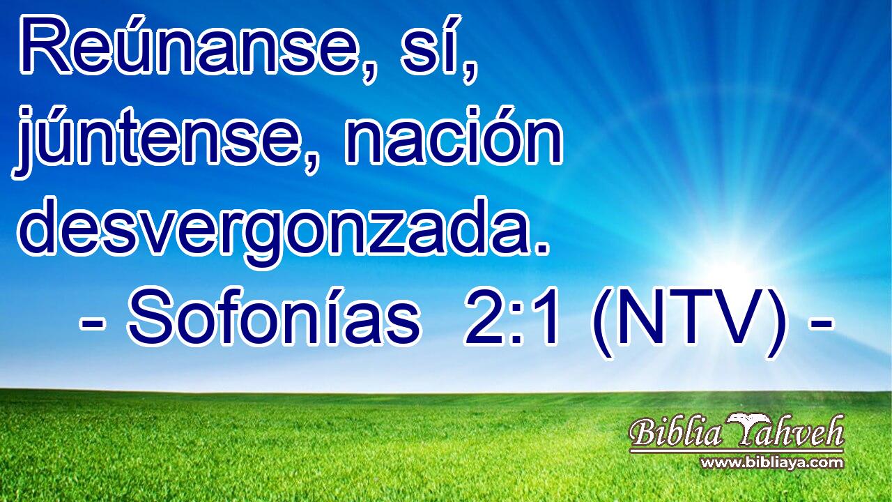Reúnanse, sí, júntense, nación desvergonzada.