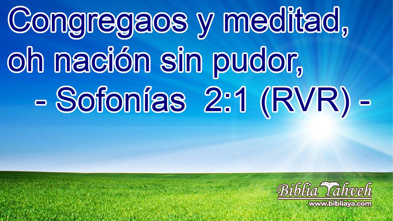 Congregaos y meditad, oh nación sin pudor,