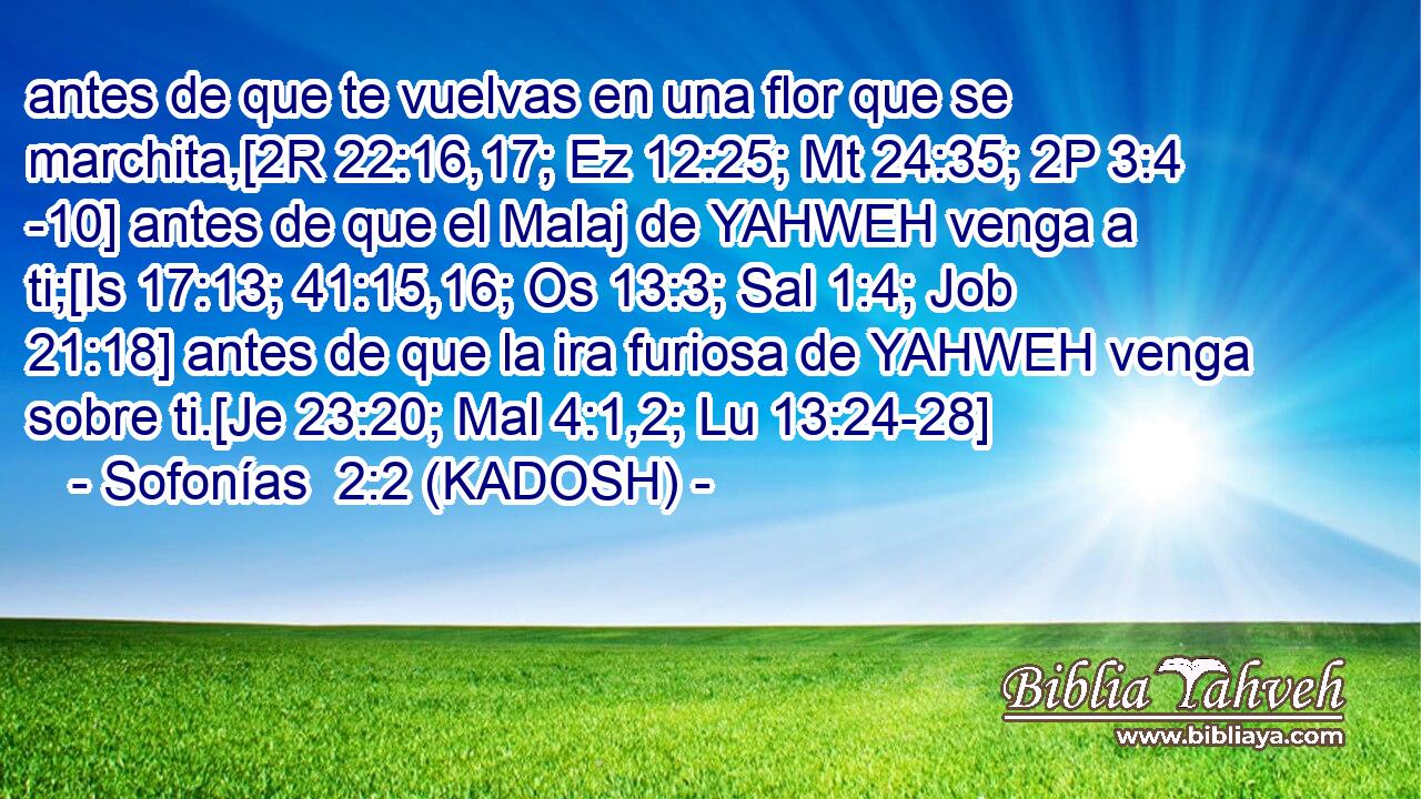  antes de que te vuelvas en una flor que se marchita,[2R 22:16,17; Ez 12:25; Mt 24:35; 2P 3:4 -10] antes de que el Malaj de YAHWEH venga a ti;[Is 17:13; 41:15,16; Os 13:3; Sal 1:4; Job 21:18] antes de que la ira furiosa de YAHWEH venga sobre ti.[Je 23:20; Mal 4:1,2; Lu 13:24-28] 