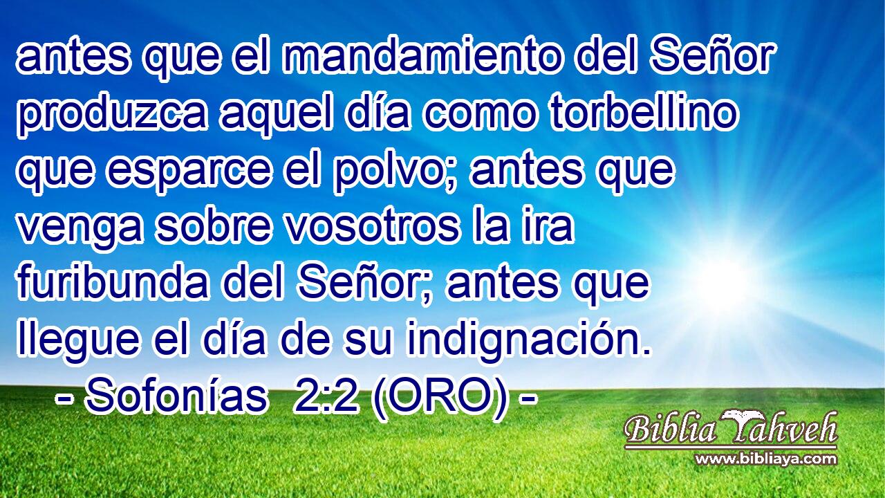  antes que el mandamiento del Señor produzca aquel día como torbellino que esparce el polvo; antes que venga sobre vosotros la ira furibunda del Señor; antes que llegue el día de su indignación. 