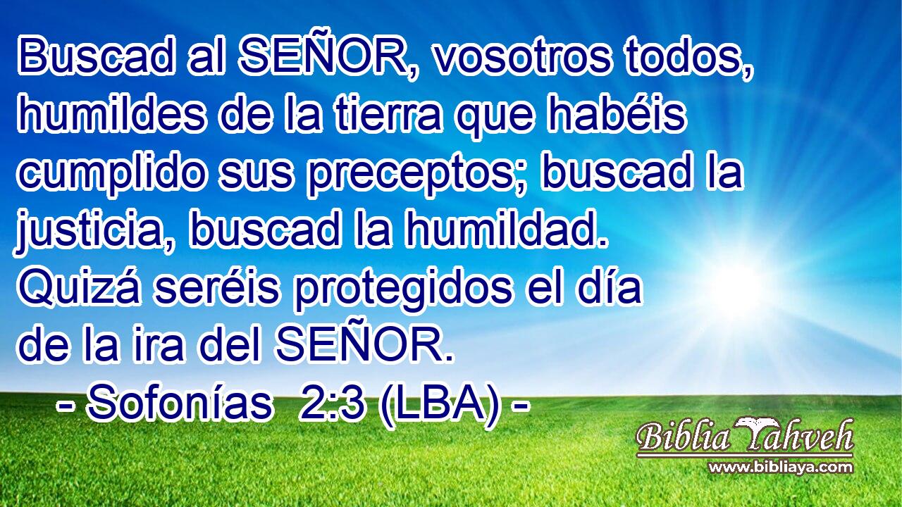 Buscad al SEÑOR, vosotros todos, humildes de la tierra que habéis cumplido sus preceptos; buscad la justicia, buscad la humildad. Quizá seréis protegidos el día de la ira del SEÑOR.