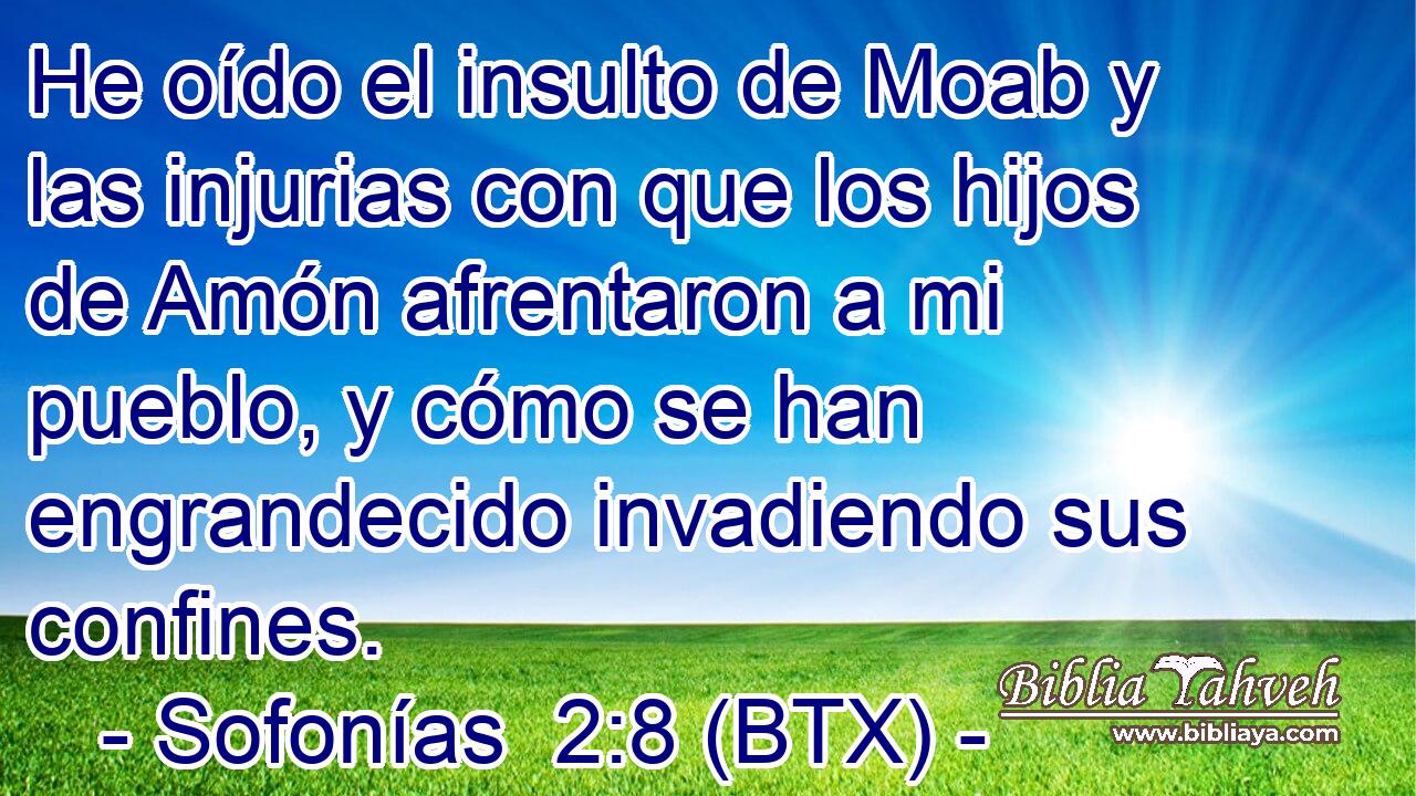 He oído el insulto de Moab y las injurias con que los hijos de Amón afrentaron a mi pueblo, y cómo se han engrandecido invadiendo sus confines.