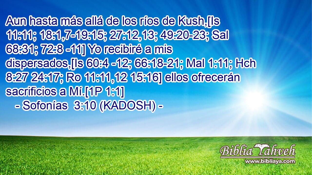  Aun hasta más allá de los ríos de Kush,[Is 11:11; 18:1,7-19:15; 27:12,13; 49:20-23; Sal 68:31; 72:8 -11] Yo recibiré a mis dispersados,[Is 60:4 -12; 66:18-21; Mal 1:11; Hch 8:27 24:17; Ro 11:11,12 15:16] ellos ofrecerán sacrificios a Mí.[1P 1:1] 