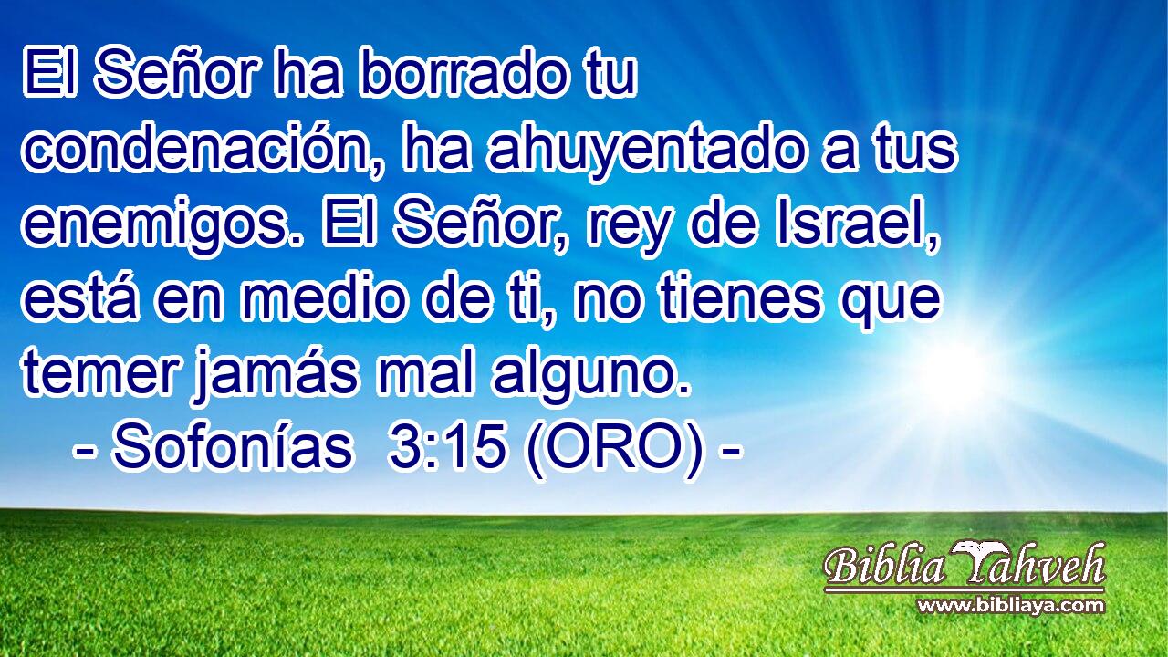  El Señor ha borrado tu condenación, ha ahuyentado a tus enemigos. El Señor, rey de Israel, está en medio de ti, no tienes que temer jamás mal alguno. 