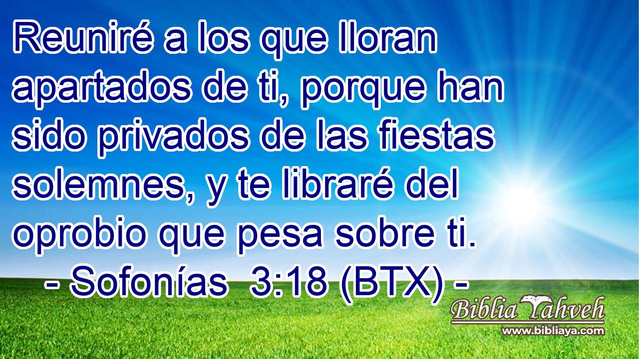 Reuniré a los que lloran apartados de ti, porque han sido privados de las fiestas solemnes, y te libraré del oprobio que pesa sobre ti.