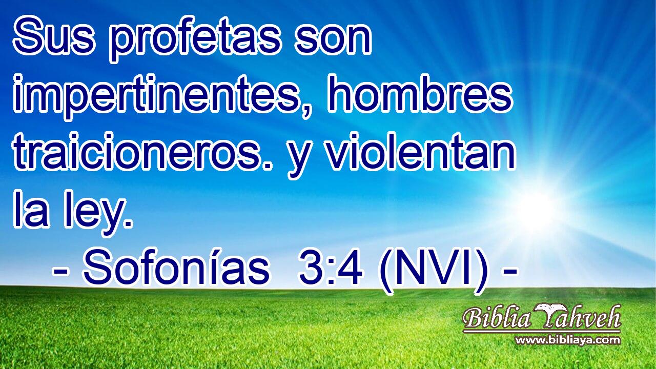  Sus profetas son impertinentes, hombres traicioneros. y violentan la ley. 