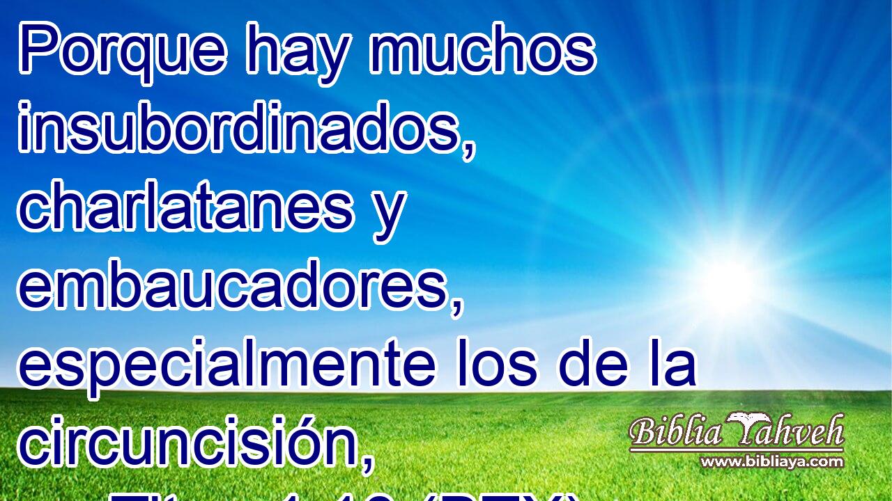 Porque hay muchos insubordinados, charlatanes y embaucadores, especialmente los de la circuncisión,