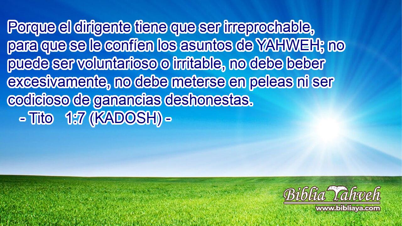  Porque el dirigente tiene que ser irreprochable, para que se le confíen los asuntos de YAHWEH; no puede ser voluntarioso o irritable, no debe beber excesivamente, no debe meterse en peleas ni ser codicioso de ganancias deshonestas. 