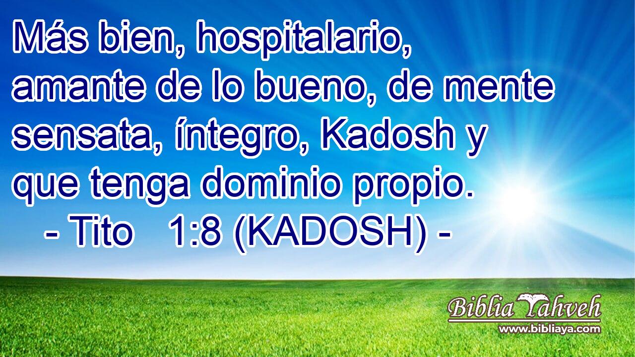  Más bien, hospitalario, amante de lo bueno, de mente sensata, íntegro, Kadosh y que tenga dominio propio. 