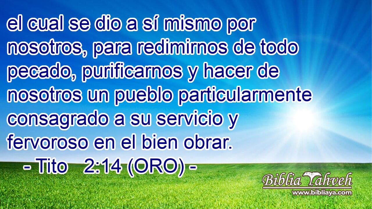  el cual se dio a sí mismo por nosotros, para redimirnos de todo pecado, purificarnos y hacer de nosotros un pueblo particularmente consagrado a su servicio y fervoroso en el bien obrar. 